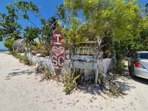 Casa Con 3 Departamentos En Primera Fila De Playa, San Crisanto, Yucatán.