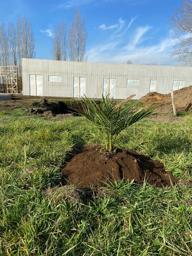 Se Vende Casa En Construcción En Parcela Camino El Peral