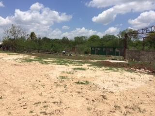 Imagen 6 de 30 de Hacienda En Venta - En San Antonio Tehuitz, Yucatán