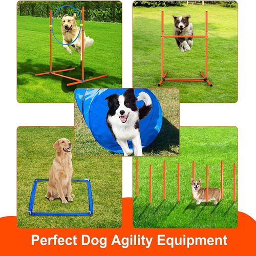 Set De Equipo De Entrenamiento De Agilidad Para Perros, Curs