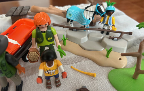 Playmobil Set De Muñecos De Acción Playmobil (Usado)