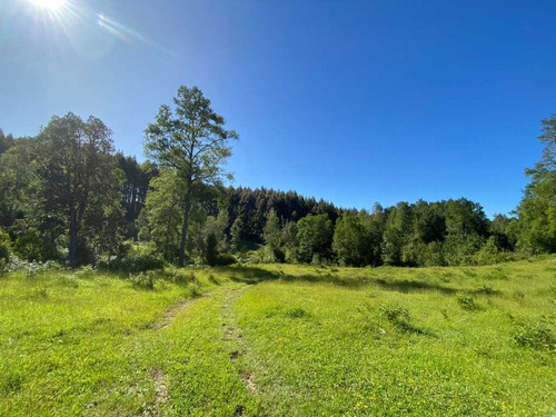 Campo, Localidad De Hueyusca (66783)