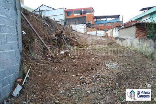 Imagem 6 de 7 de Terreno Amplo E Bem Localizado Próximo De Grandes Vias De Acesso. - Dp4166