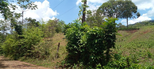 Vendo 13 Tareas De Tierra En El Limón, La Cuaba Entrando Por El Km 22 Autopista Duarte, Santo Domingo, República Dominicana