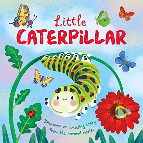 Libro Nature Stories: Little Caterpillar: Padded De Vvaa