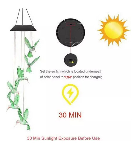 Lámpara Corporal Luminosa Con Forma De Colibrí, Luces De Pai