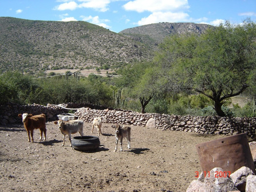 Imagen 7 de 14 de Rancho En Venta, Colinda Con Un Rìo En Colón Querétaro.