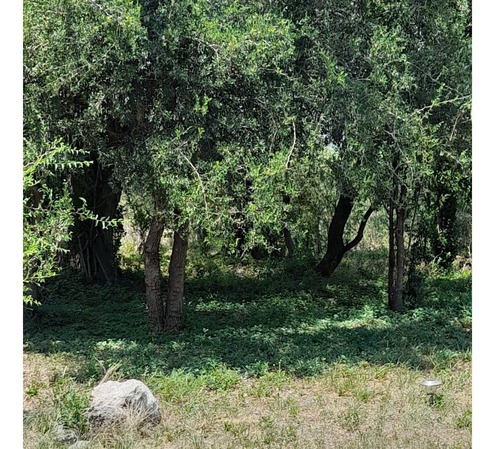 Imagen 10 de 30 de Paraíso Escondido , Campo De 78 Hectareas, En Venta En San Luis, Al Pie De Las Sierras Altas, Valle, Vista Única, Con Río Al Fondo , Bosque Nativo, Realmente Unico,,,para Mudarte Y Cambiar De Vida