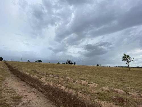 Imagen 6 de 8 de Venta De Chacra En Rincón De José Ignacio, 5 Hectareas - Jose Ignacio José Ignacio