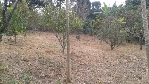 Imagem 13 de 28 de Chácara Em Jardim Majestic, São José Dos Campos/sp De 11000m² 3 Quartos À Venda Por R$ 848.000,00 - Ch1021296-s
