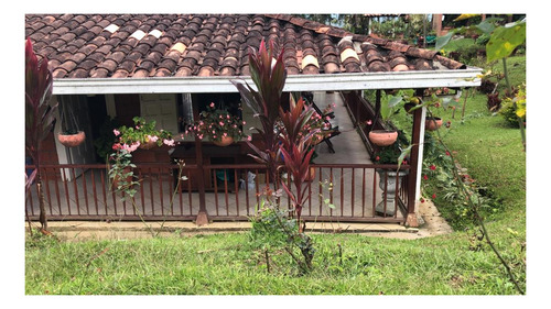 Imagen 16 de 20 de Espectacular Finca En Fredonia