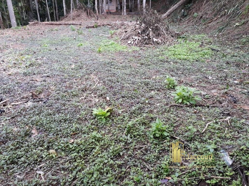 Imagem 2 de 9 de Terreno A Venda No Bairro Parque São Clemente Em Nova - 1426-1