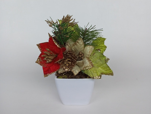 Kit Mini Arranjos Bico De Papagaio Flor De Natal No Caixote | Parcelamento sem juros Kit Mini Arranjos Bico De Papagaio Flor De Natal No Caixote | Parcelamento sem juros