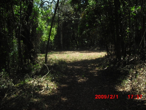 Imagem 5 de 12 de Terreno Ressaca 12000m2 Com Riacho