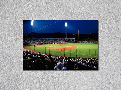 Cuadro Canvas Estadio De Beisbol