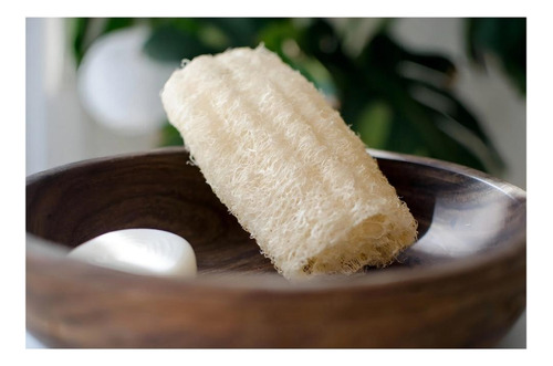 Esponja Vegetal Natural Exfoliante De Cocina Luffa Kompost