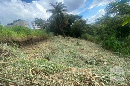 Imagem 8 de 13 de Lote À Venda No Alto Caiçaras - Código 276550 - 276550