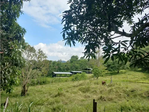 Finca En Venta En Viota Vía A La Mesa 13 Hectareas