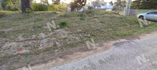Imagen 1 de 10 de Oportunidad - Punta Del Este Marly