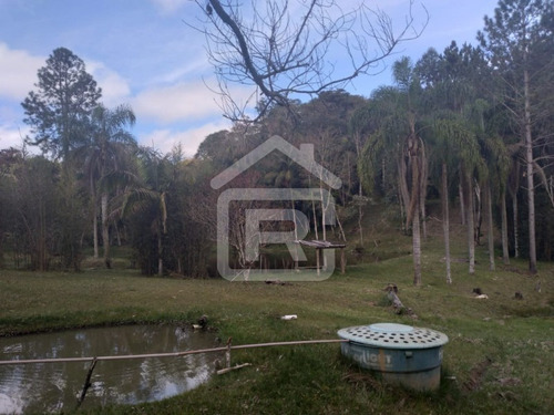 Imagem 23 de 30 de Itio Ideal Para O Seu Lazer Tendo 3 Lagos Piscosos Com Peixe, 02 Nascentes Próprias, Pomar, Horta. - 77 - 70066608