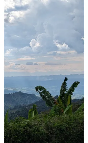 Venta Finca Cordoba - 3.5 Hectareas