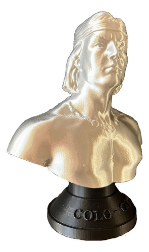 Busto Colo-colo Frontis Océano 3d