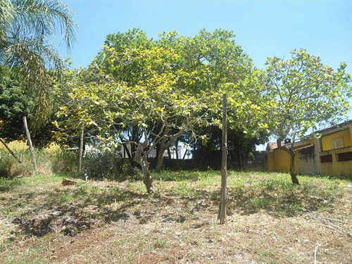 Imagem 1 de 2 de Terreno - Venda - Jamaica - Itanhaem - Ita2679