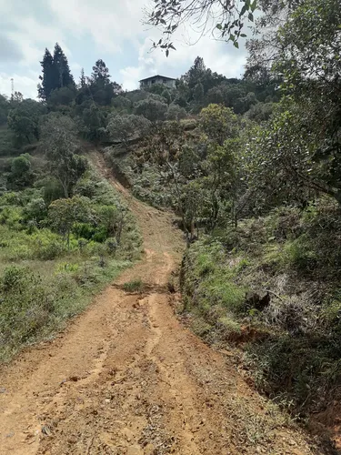 Venta Lotes Rionegro