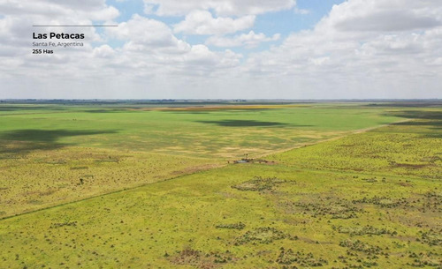 Campo De 255 Hectáreas En Las Petacas, Santa Fe