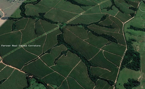 Imagem 5 de 9 de Fazenda Para Venda Em Salto, Haras Paineiras, 1 Dormitório, 1 Banheiro, 1 Vaga - 2825_2-1002550