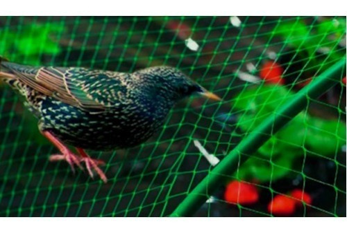 Imagen 3 de 4 de Malla Gallinero Y Antipájaros