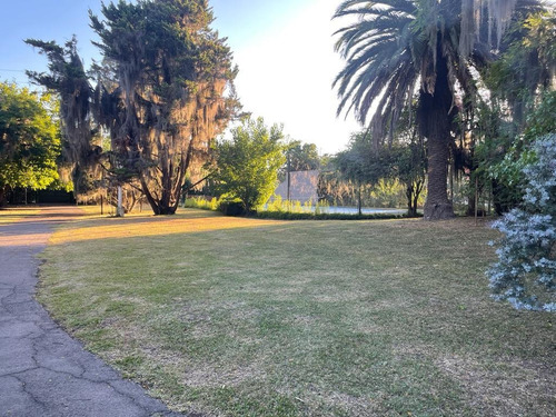Imagen 12 de 23 de Terreno Ideal Desarrollo Inmobiliario En El Corazón De Funes