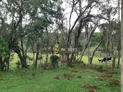 Alugo/vendo Chácara Araucária Moradia E Para Lazer - Ch0003