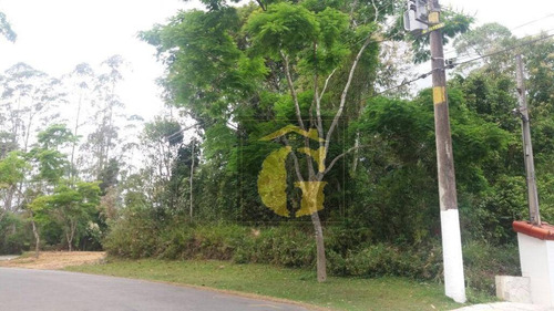 Imagem 2 de 2 de Terreno À Venda, 750 M² Por R$ 200.000 - Lagoa Grande - Embu-guaçu/sp - Te0031