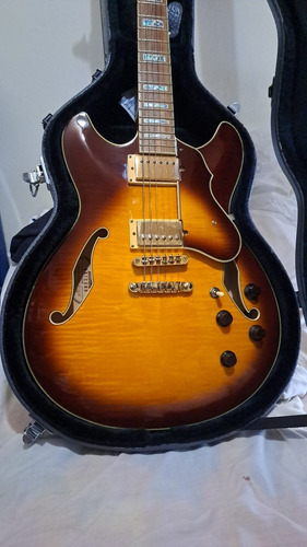 Guitarra Eléctrica Ibanez As103 Custom Semi-hueca.