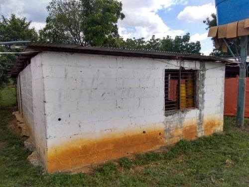 Imagen 22 de 30 de Jose Lopez Ofrece Finca ( Granja Avícola / Agrícola ) En Venta Vía A Duaca Caserio Guayabal Cordero Lara, Venezuela ,j G L Rent - A - House Telf. 0414-5533925 Cod # 22-16836 $ 15000