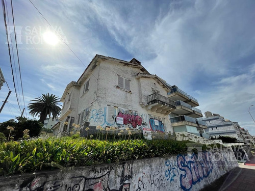 Imagen 3 de 4 de Casa Peninsula , Excelente Ubicacion , A Reciclar , Apta Para Proyecto Sho4264267