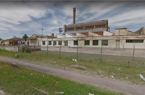 Imagen 2 de 5 de Local En Venta En Sayago (ref: Vld-1583)