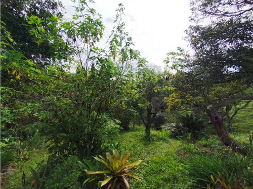 Venta De Lote En Guarne, Vereda Hojas Anchas