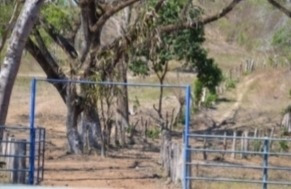 Imagen 13 de 14 de Finca En Venta En Tinaquillo