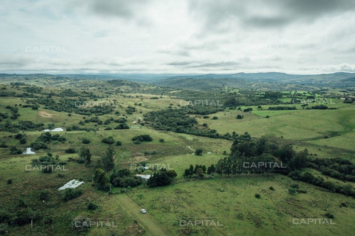 Imagen 11 de 15 de Chacra En Venta En Las Cañas - Zona Rural Las Cañas