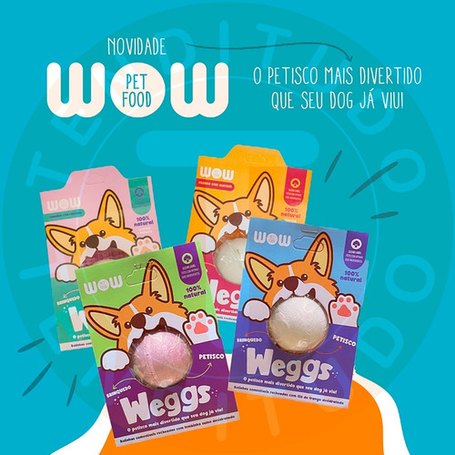 Bolinha Petisco Natural Comestível Lombo Curcuma Weggs Wow P