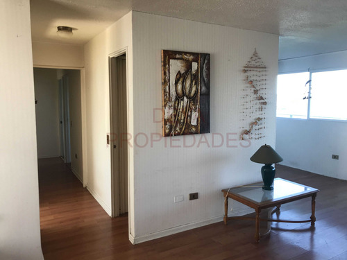 Departamento En Chinquihue - Puerto Montt (91863)