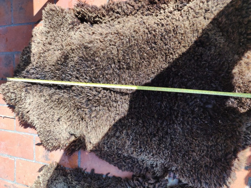 Imagen 4 de 8 de Cuero Pelego Cojinillo Negro Para Vestir Apero Recado