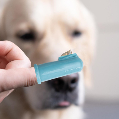 Cepillo De Dientes Para Perros Cepillo De Dientes Para Perro