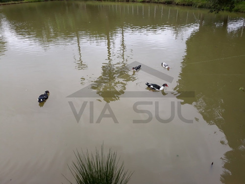Imagem 3 de 15 de Chácara Em Formação, Com Lindo Lago Cheio De Peixes. Excelente Para Lazer!! - 405 - 70066716