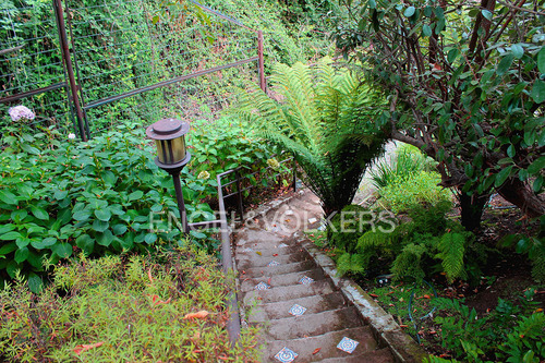 Casa En Arriendo - La Foresta