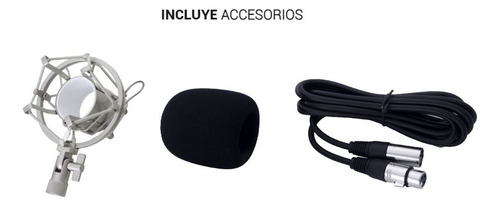 Micrófono Krieg Kc06b Condensador Cardioide Color Plateado Plateado