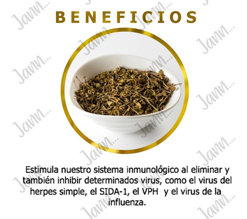 Gobernadora Té, 100% Pura, Planta Medicinal Deshidrata 250g.