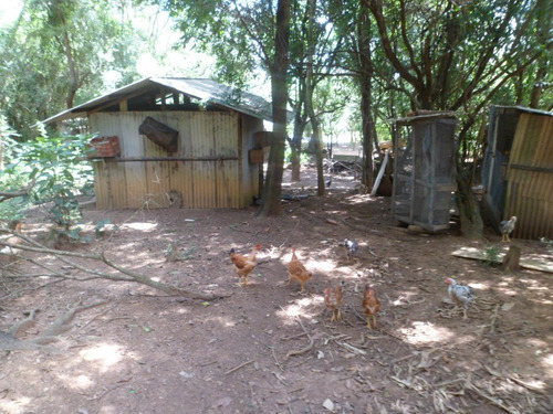 Imagem 11 de 29 de Sítio Com 2 Dormitórios À Venda, 24200 M² Por R$ 1.100.000,00 - Cardeal - Elias Fausto/sp - Si0004